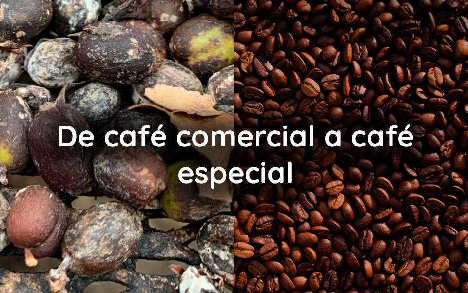 De café comercial a café especial