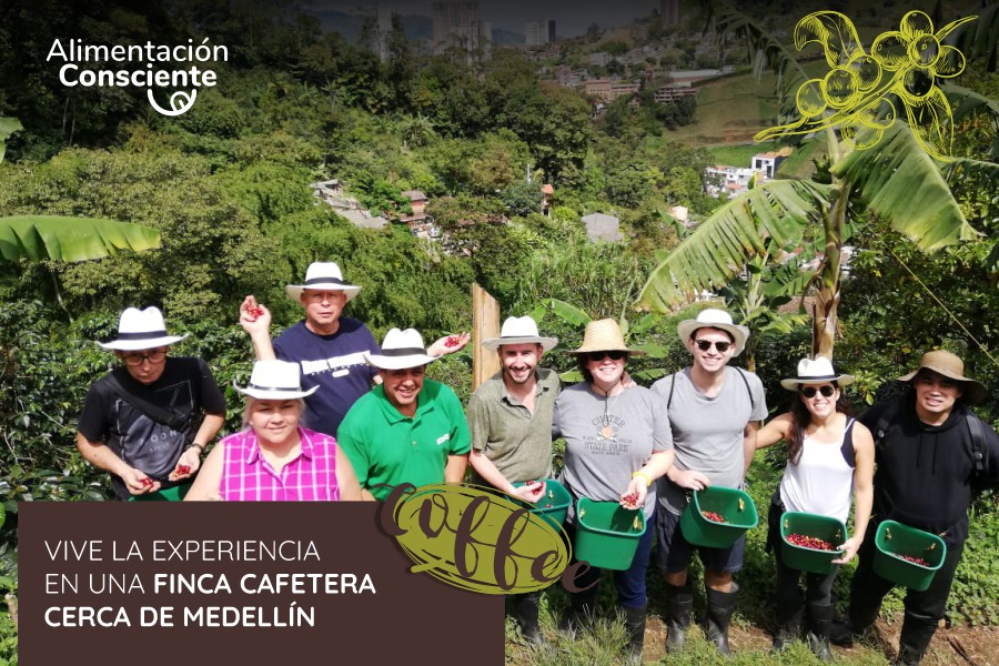 Bannder del Tour del Café en Antioquia cerca de Medellín