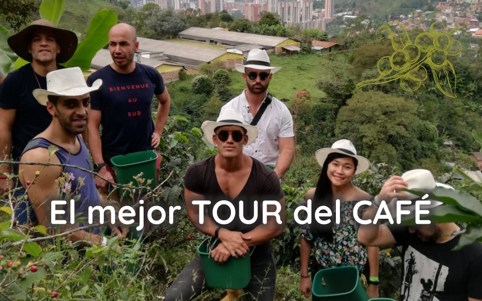 El mejor tour de cafe